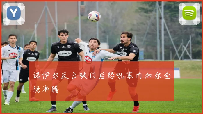 诺伊尔反击破门后怒吼塞内加尔全场沸腾
