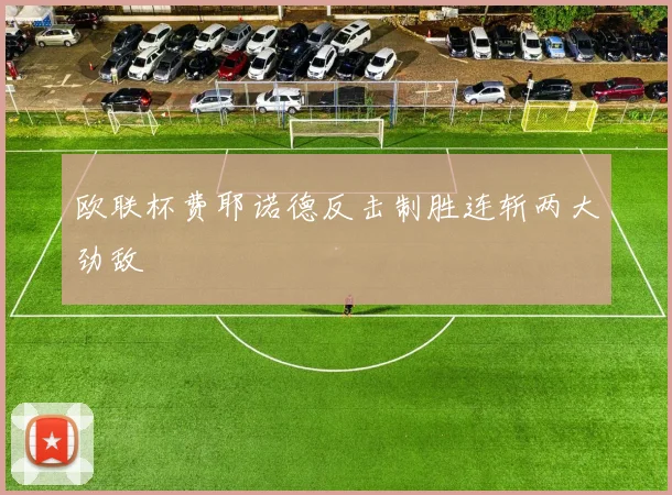 欧联杯费耶诺德反击制胜连斩两大劲敌