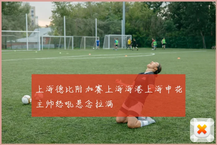 上海德比附加赛上海海港上海申花主帅怒吼悬念拉满