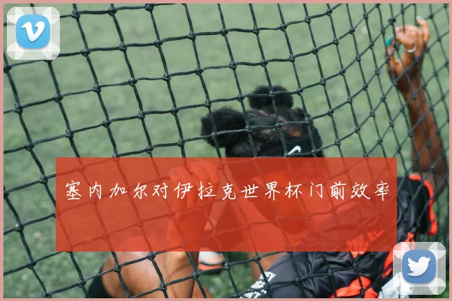 塞内加尔对伊拉克世界杯门前效率