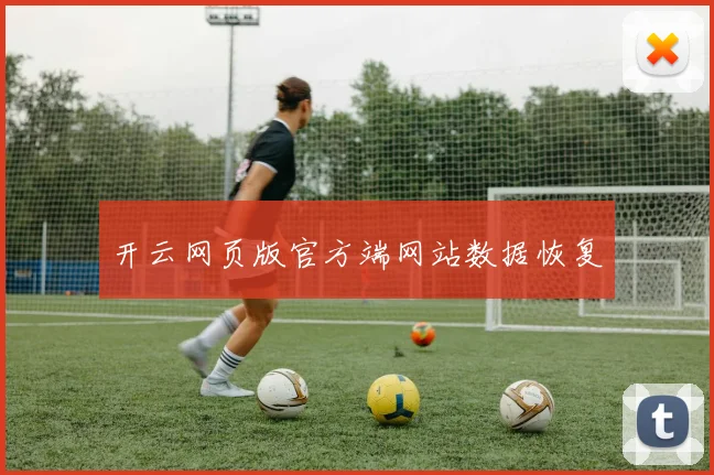 开云网页版官方端网站数据恢复