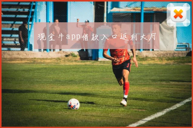 现金牛app借款入口返利大厅