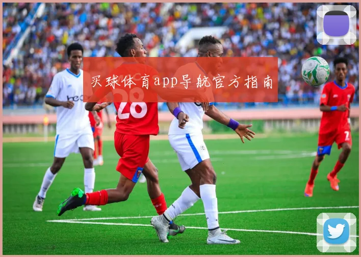 买球体育app导航官方指南