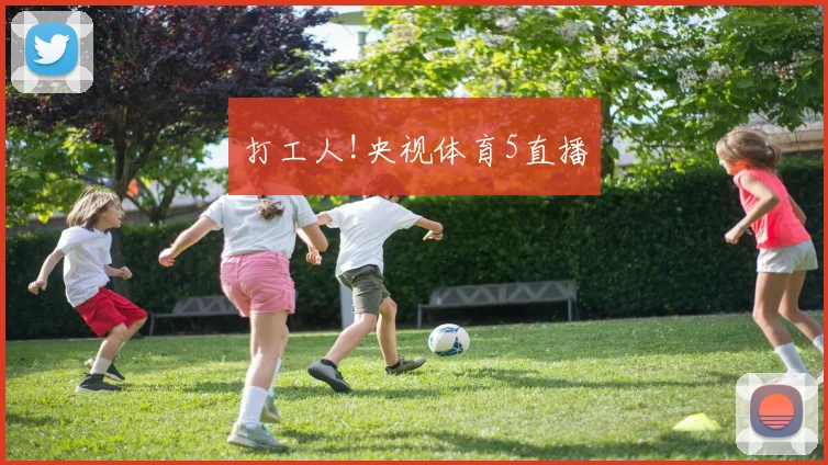 打工人!央视体育5直播