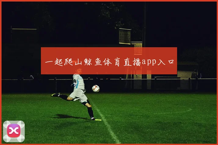 一起爬山鲸鱼体育直播app入口