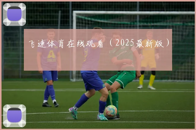 飞速体育在线观看（2025最新版）