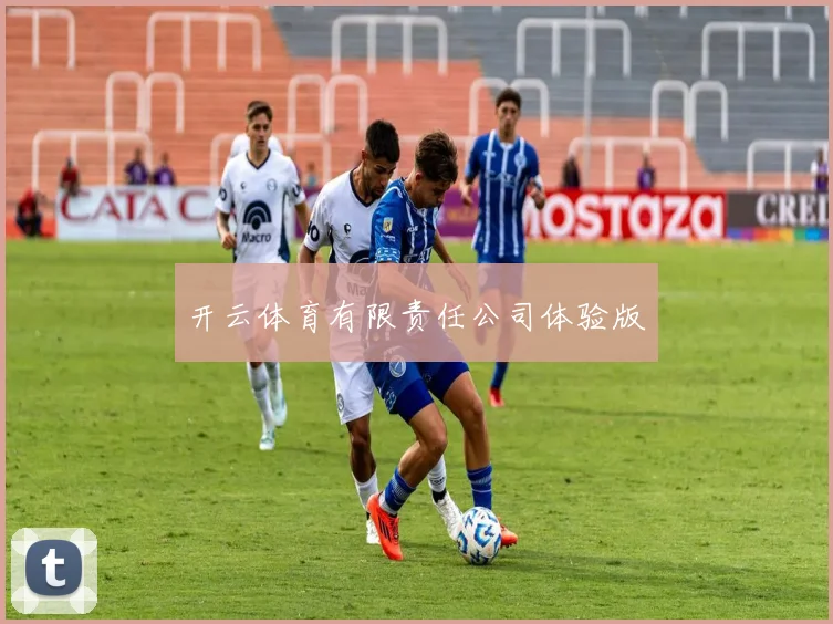 开云体育有限责任公司体验版