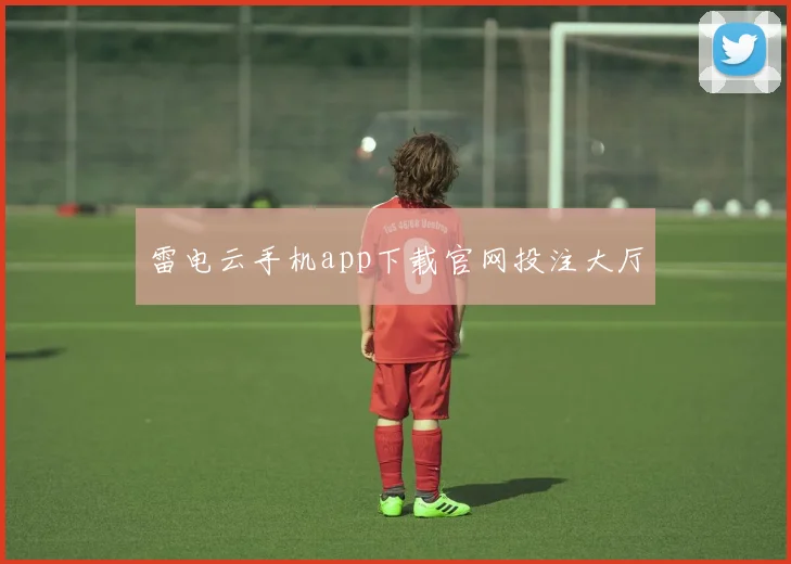 雷电云手机app下载官网投注大厅