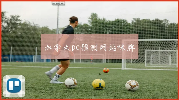 加拿大pc预测网站咪牌