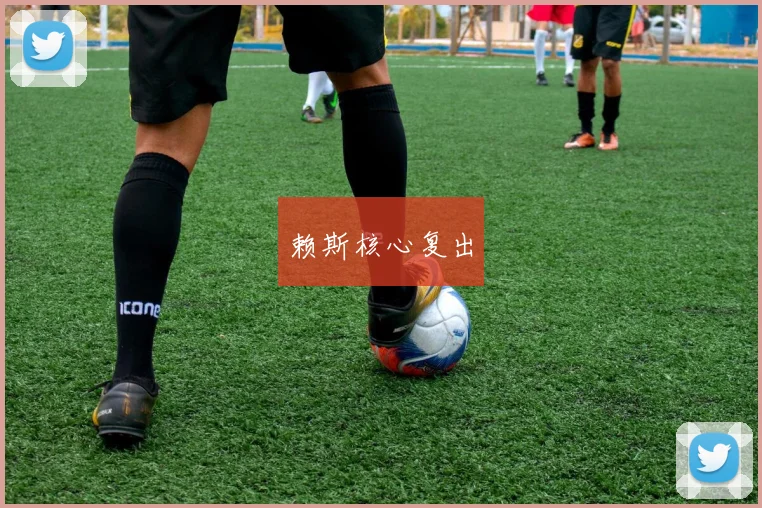 赖斯核心复出