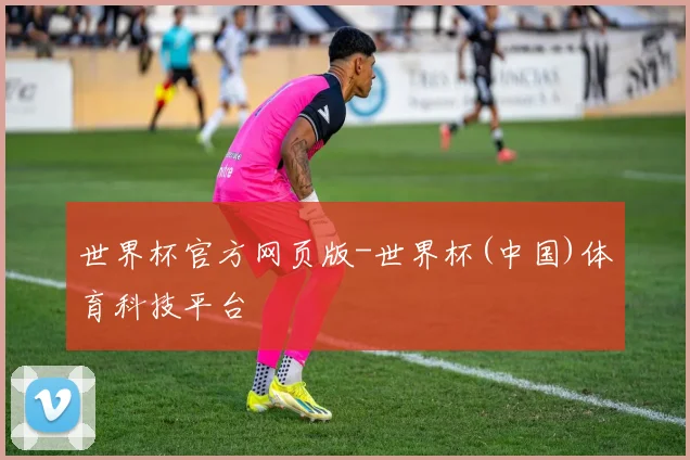 世界杯官方网页版-世界杯(中国)体育科技平台