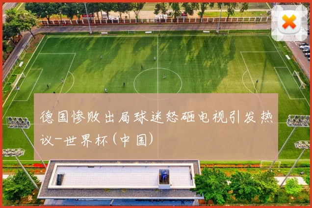 德国惨败出局球迷怒砸电视引发热议-世界杯(中国)