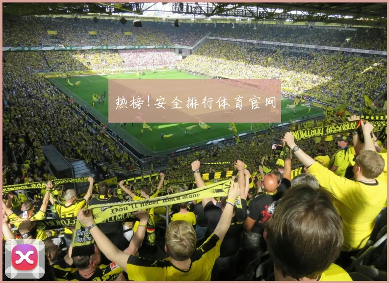热榜!安全排行体育官网
