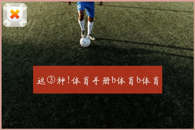 这③种!体育手册b体育b体育