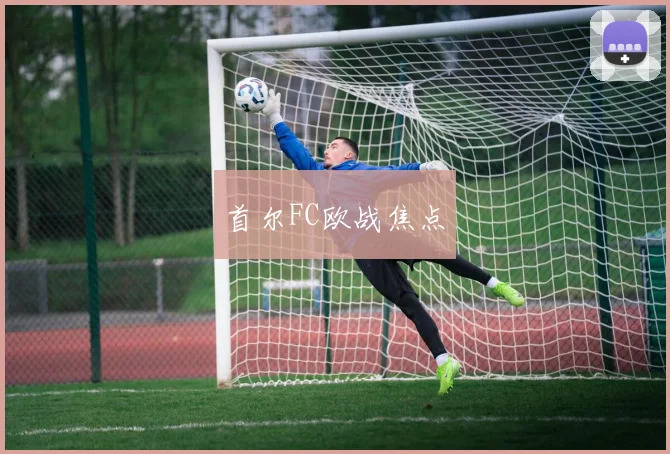 首尔FC欧战焦点