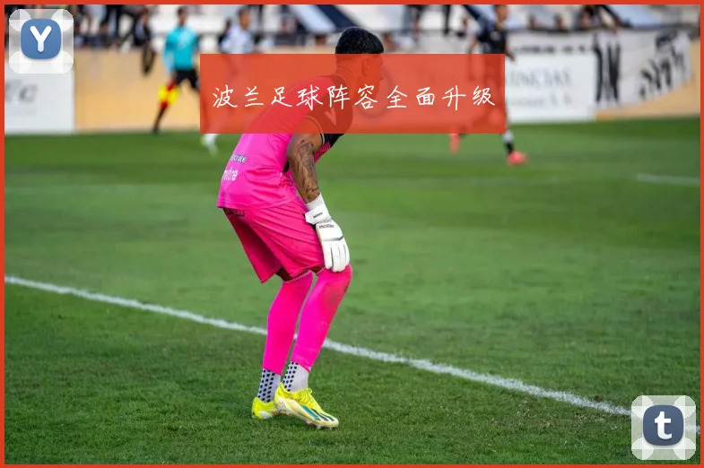 波兰足球阵容全面升级