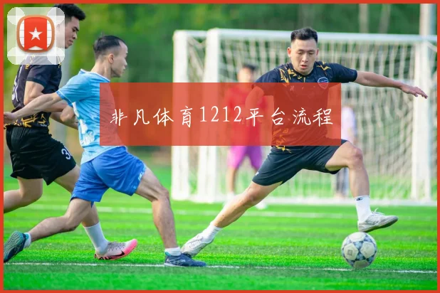 非凡体育1212平台流程