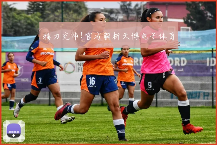 精力充沛!官方解析天博电子体育