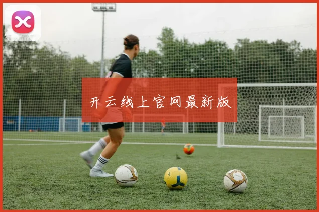 开云线上官网最新版