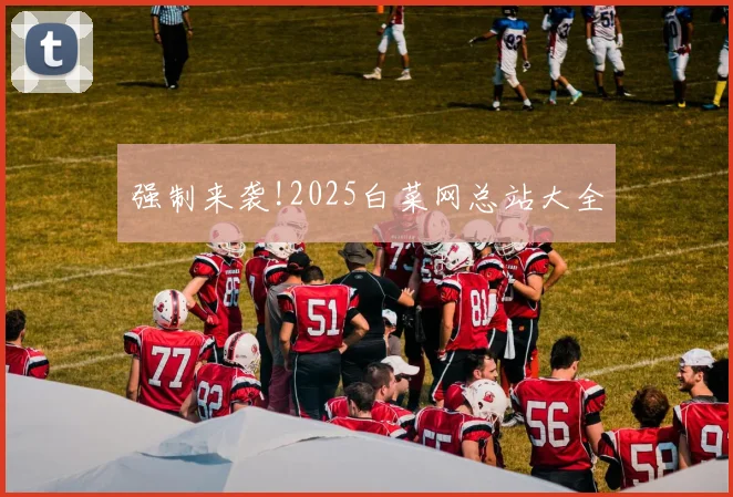 强制来袭!2025白菜网总站大全
