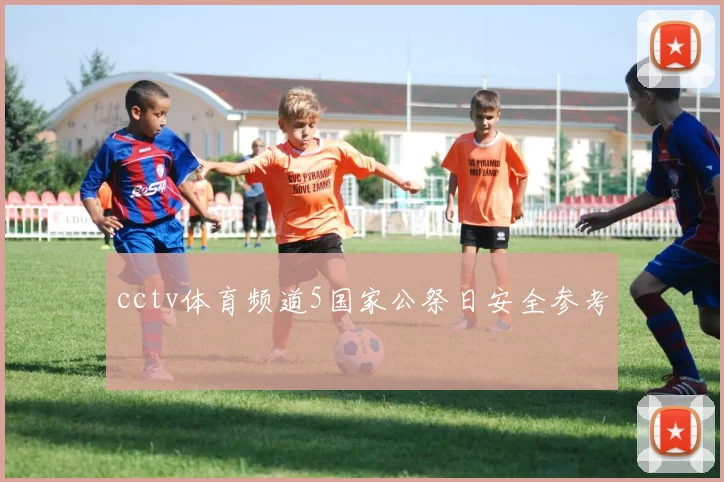 cctv体育频道5国家公祭日安全参考