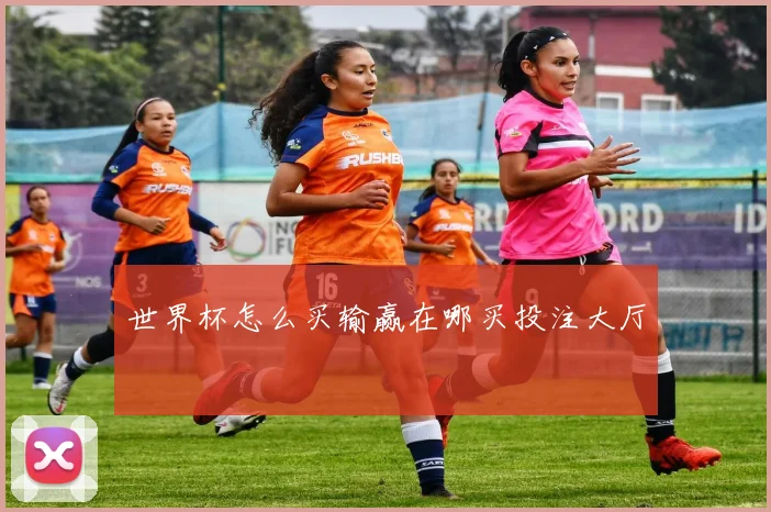 世界杯怎么买输赢在哪买投注大厅