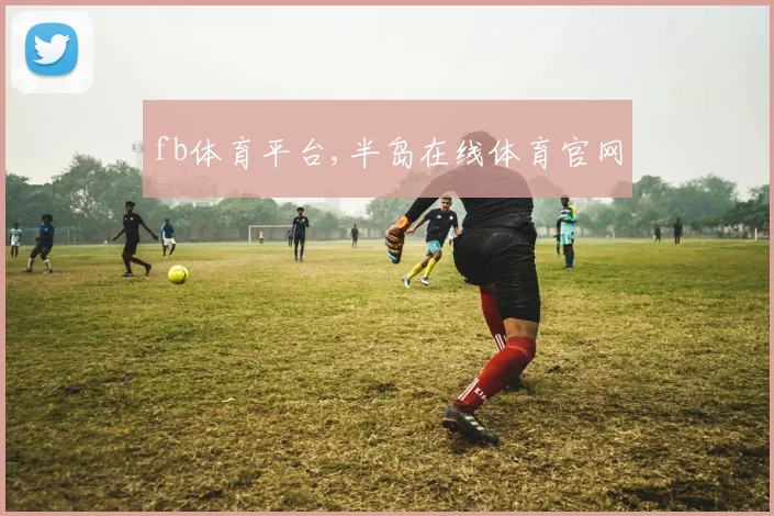 fb体育平台,半岛在线体育官网
