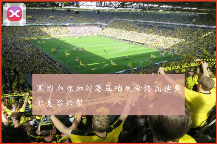 塞内加尔加时赛压哨改命格瓦迪奥尔看台炸裂