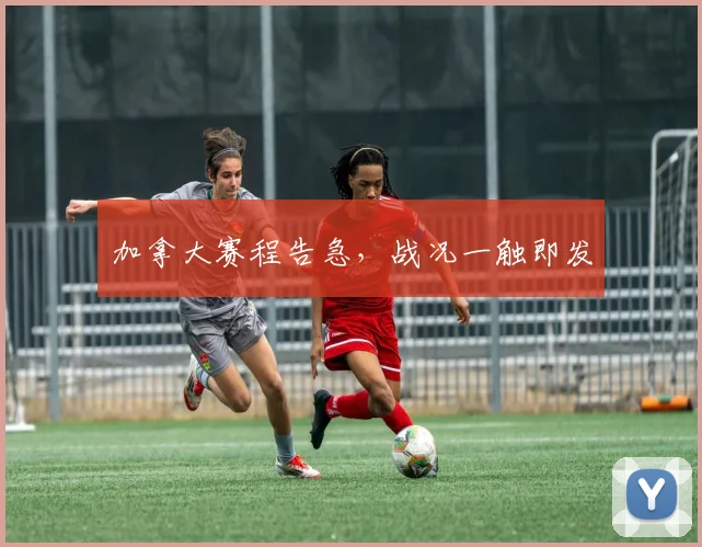 加拿大赛程告急，战况一触即发