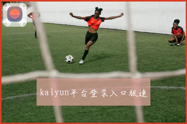 kaiyun平台登录入口极速