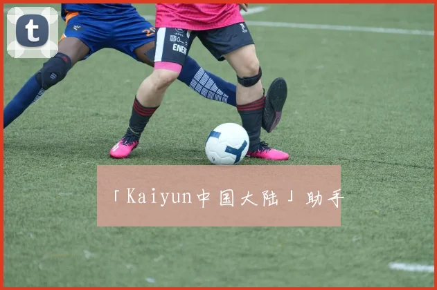「Kaiyun中国大陆」助手