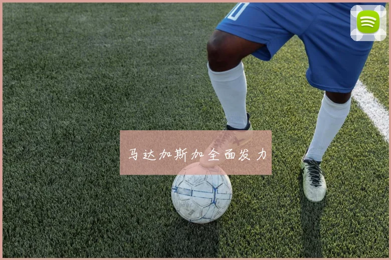 马达加斯加全面发力