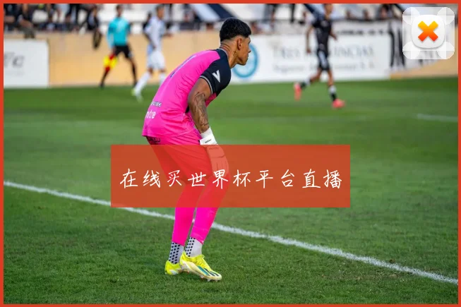 在线买世界杯平台直播