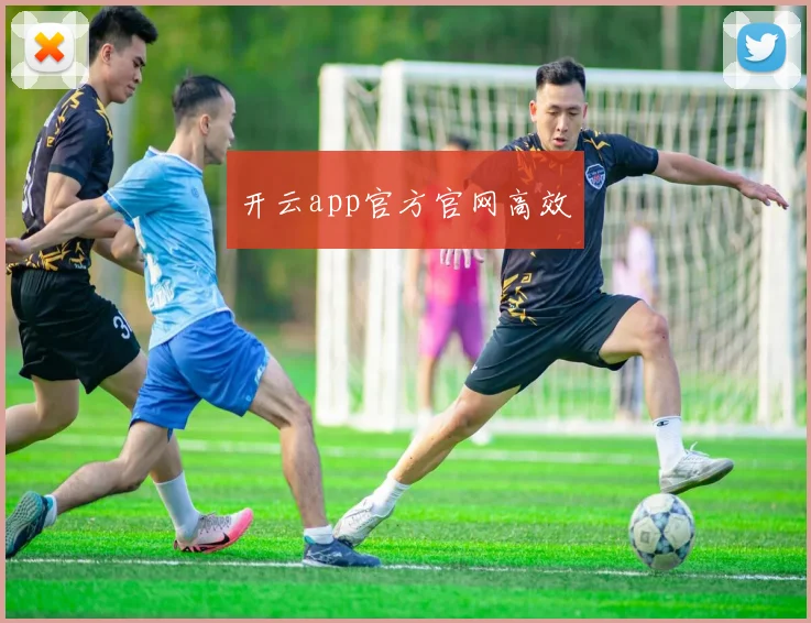 开云app官方官网高效