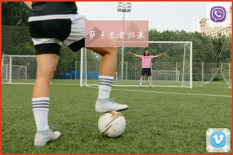 萨卡王者归来