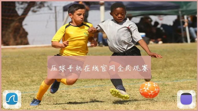 压球手机在线官网全民观赛
