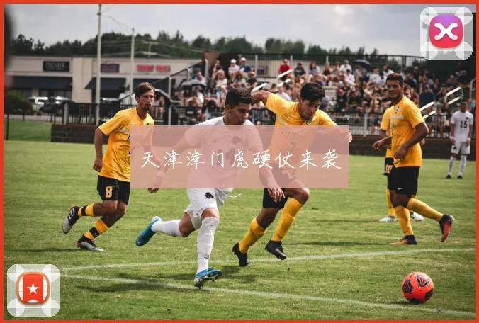 天津津门虎硬仗来袭
