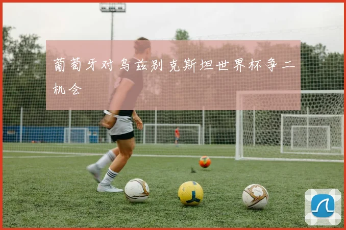 葡萄牙对乌兹别克斯坦世界杯争二机会