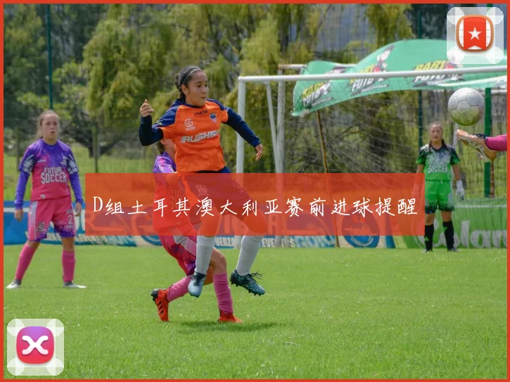 D组土耳其澳大利亚赛前进球提醒