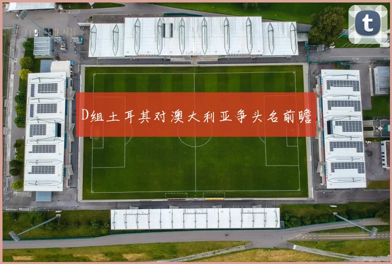D组土耳其对澳大利亚争头名前瞻