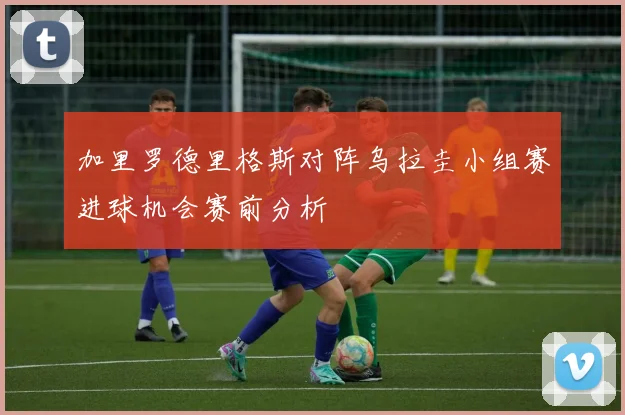 加里罗德里格斯对阵乌拉圭小组赛进球机会赛前分析