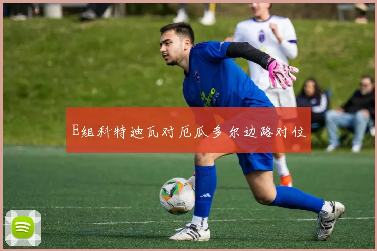 E组科特迪瓦对厄瓜多尔边路对位