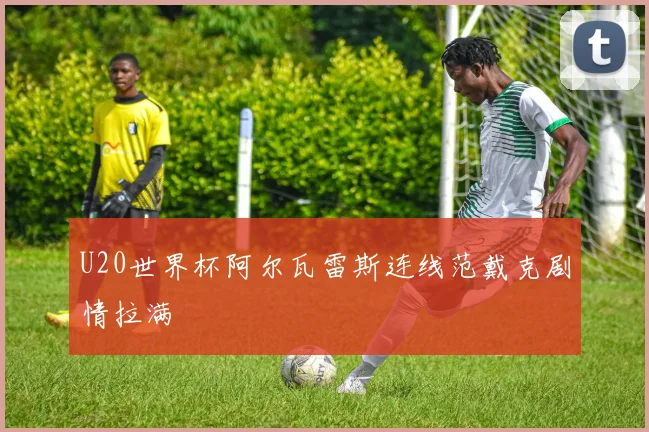 U20世界杯阿尔瓦雷斯连线范戴克剧情拉满